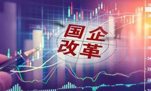 2024年寵物用品行業(yè)發(fā)展現(xiàn)狀及發(fā)展趨勢(shì)分析(圖2)