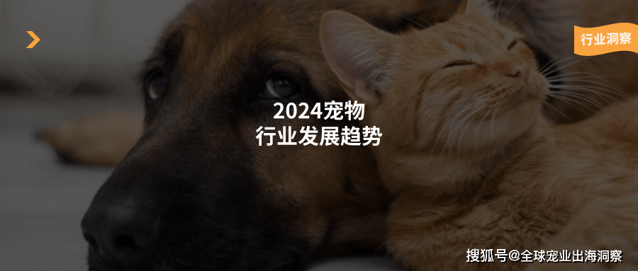 熊貓體育：2024年寵物行業(yè)的主要趨勢有哪些？這篇文章多角度為你分析(圖1)